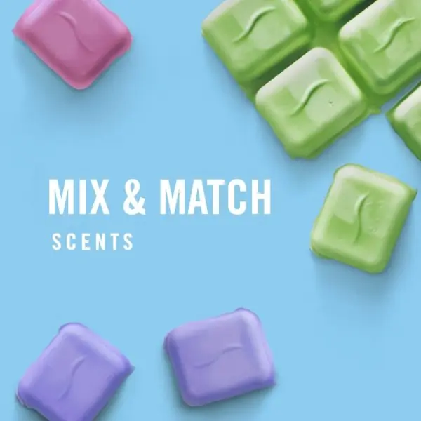Febreze Wax Melts, Wax Melt Warmer Cubes, Wax Warmer Cubes, Gain Original Scent, 6 packs, 6 cubes each, Air Freshener - Image 3